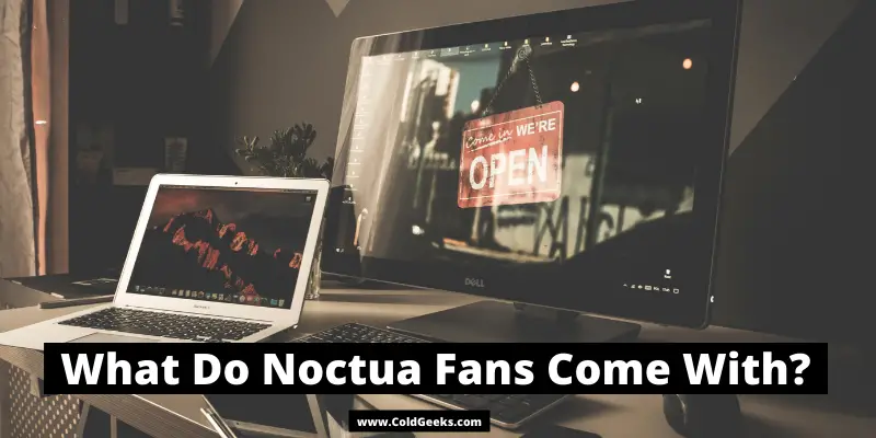 Desk top computer and laptop—What Do Noctua Fans Come With?