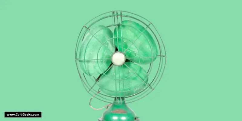 Green fan on green background—How Long Do Fans Last?