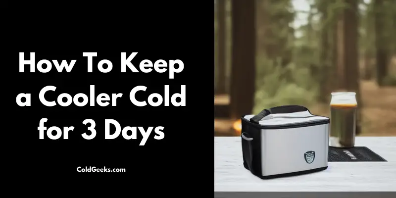 Steel Cooler in the Woods - How To Keep a Cooler Cold for 3 Days