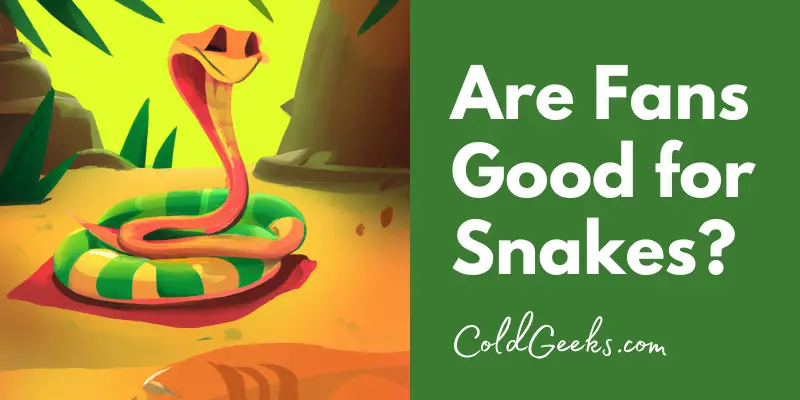 Cartoon snake - Are Fans Good for Snakes